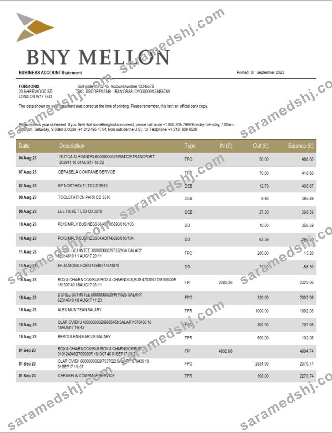 BNY Mellon Bank company checking account statement Word and PDF template